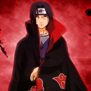 Meet your Posher, Bo